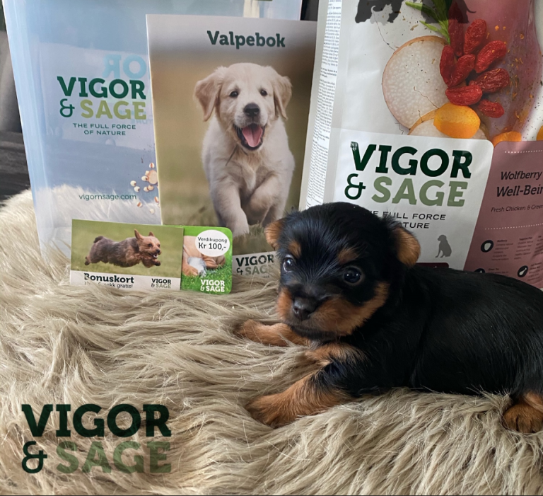 Vigor & Sage oppdretterklubb – bli medlem!