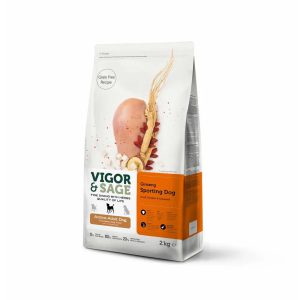 SPORTING ACTIVE ADULT DOG